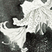 Junko Nagano Gallery